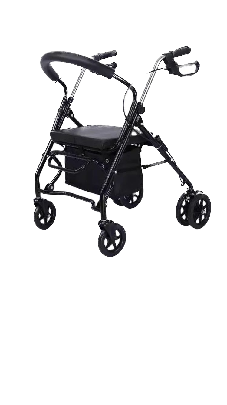 Rollator Regensburg